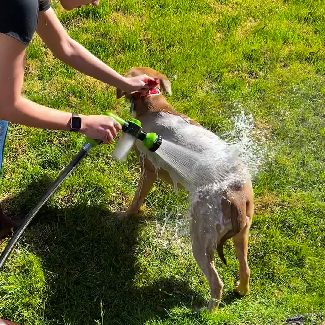 Spray per la pulizia facile e veloce per animali