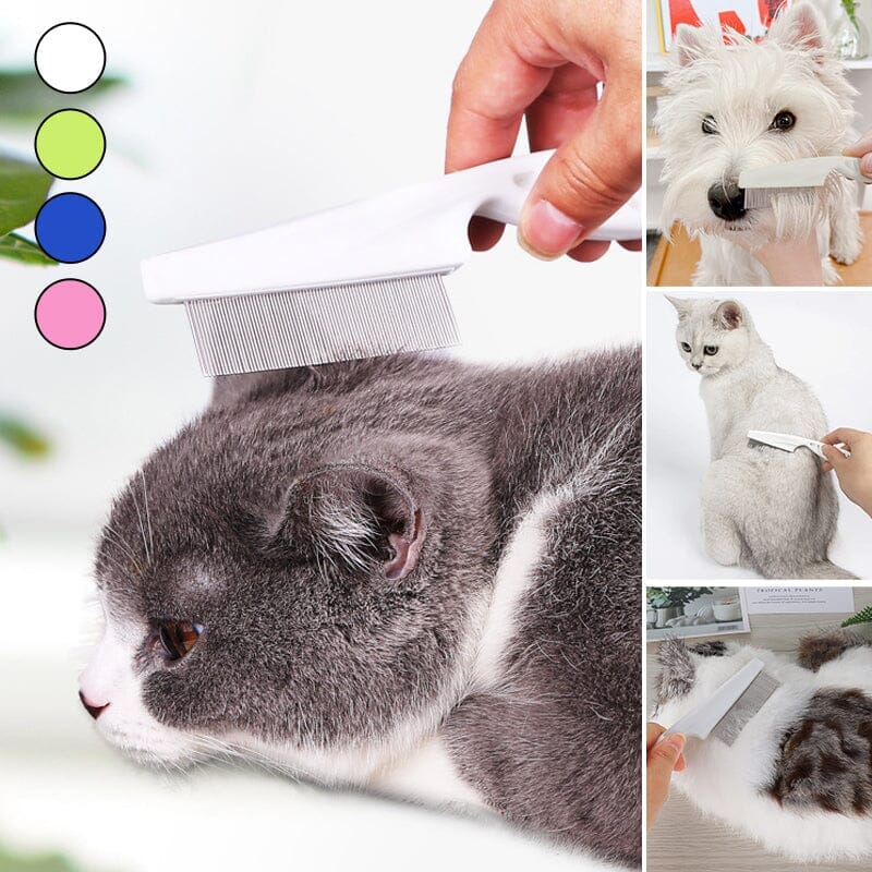 Pettine Multifunzionale per Animali – Toelettatura, Salute e Comfort in un unico strumento!