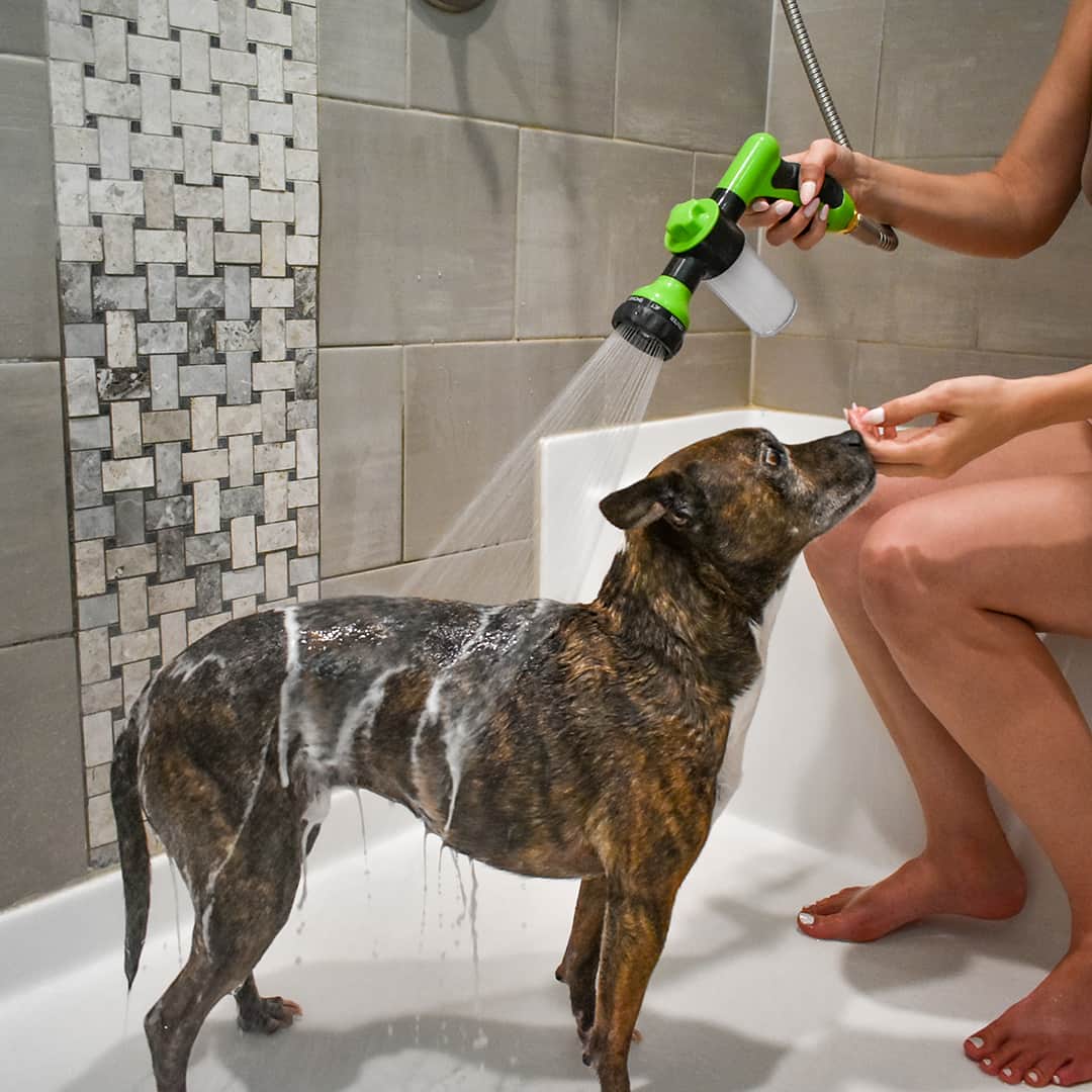 Spray per la pulizia facile e veloce per animali