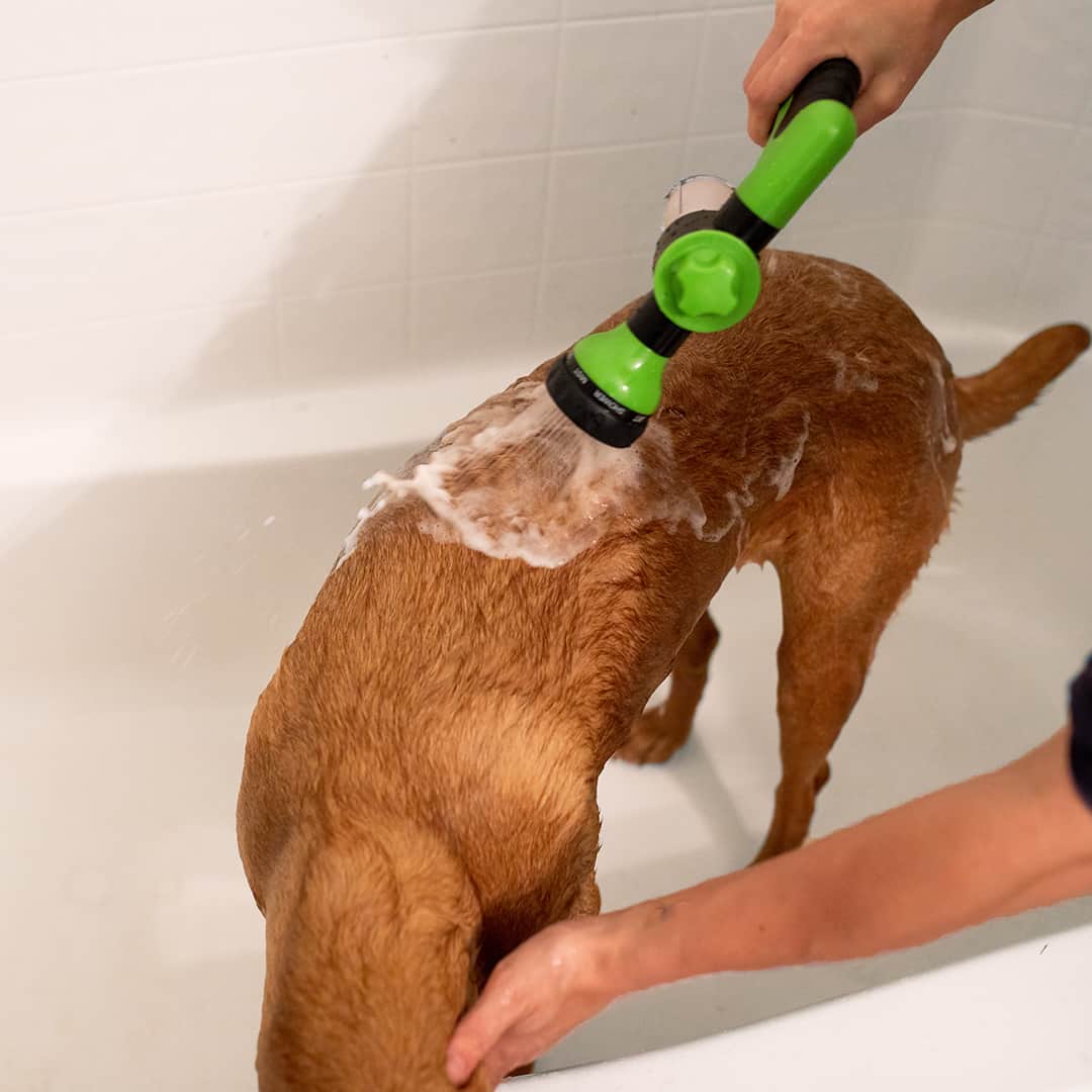 Spray per la pulizia facile e veloce per animali