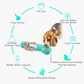 4-in-1 bottle to hydrate and nourish your dog 