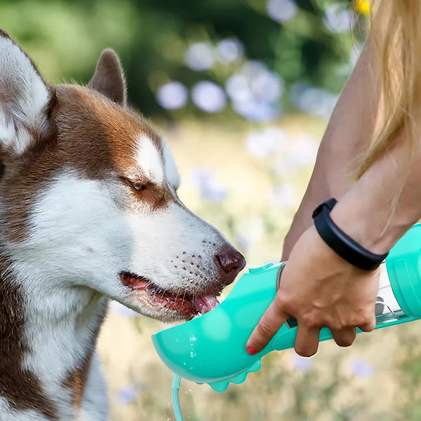 4-i-1 flaske for å hydrere og gi næring til hunden din 